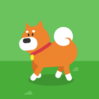 Dance Love Sticker By 柴犬ラク Shiba Inu Raku For Ios Android Giphy Dance Love Sticker By 柴犬ラク Shiba Inu Raku For Ios Android Giphy