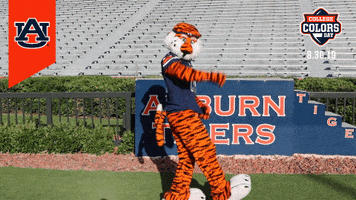 College Football GIF by College Colors Day