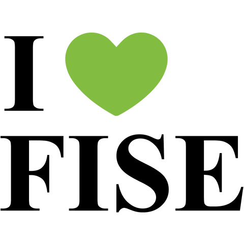 FISE Consultores Sticker