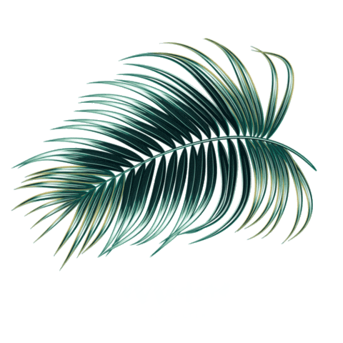 Madero Ocean Club Sticker