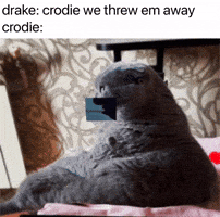 Drake Joc GIF