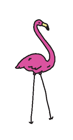 Pink Flamingo Sticker by Festival Santa Teresa
