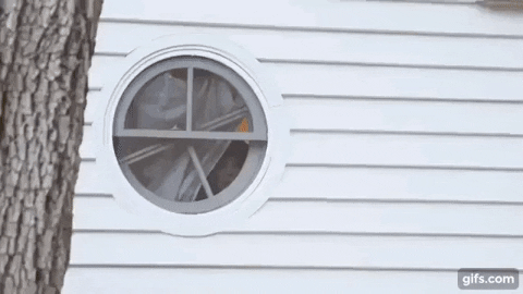 giphy.gif?cid=5e2148861144080d925783a040