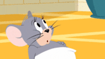 Tom And Jerry GIF