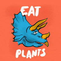 Eat Plant Based Diet GIF by Jef Caine