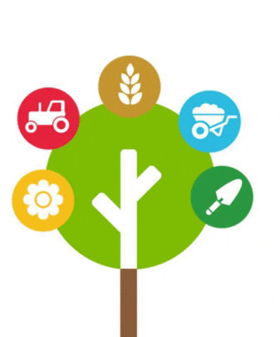 YearofPlantHealth2020 GIF