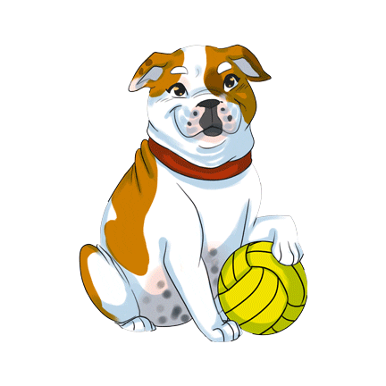 Bulldog Waterpolo Sticker by Addie - University of Redlands Mascot