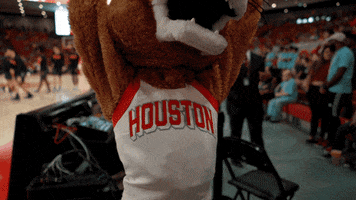 Sasha Go Coogs GIF by University of Houston