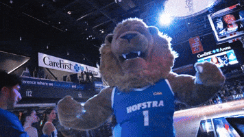 New York Basketball GIF by Hofstra University