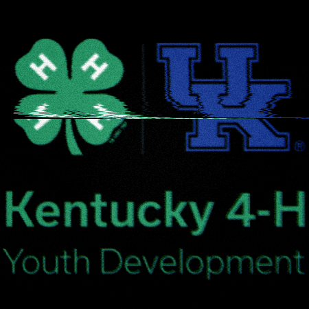 4-H GIF by kentucky4h