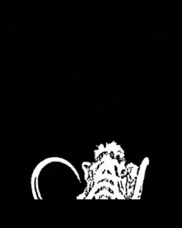 Mammut GIF by CAFE BAR MOKKA
