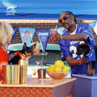 Snoop Dogg Party GIF by Puppy Bowl Snoop Dogg Party GIF by Puppy Bowl