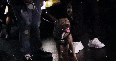 Breaking Bad Sheff G GIF by Winners Circle