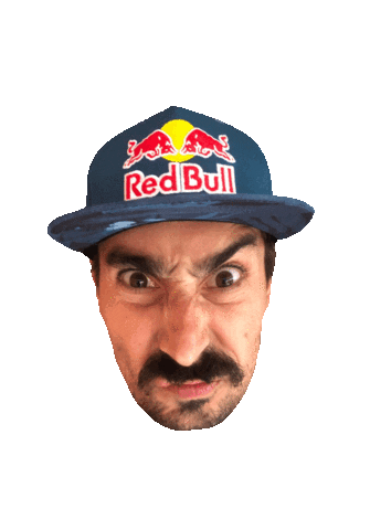 Wingsuit Gurgl Sticker by gurgl.official