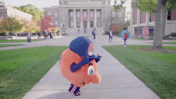 Excited Dance GIF by Syracuse University