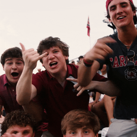 South Carolina Football GIF by Gamecock Athletics