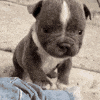 100.gif?cid=20e14a2a2jlm8k7huln9ggk3xpqlth4kkm4ladn8ty9jgccg&rid=100.gif&ct=g