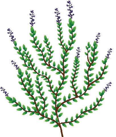 Plant Ayurveda Sticker