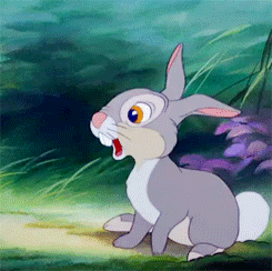 thumper bambi sow gifs