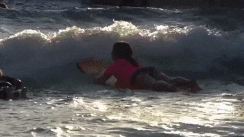 lesSommets pool surf surfing axis GIF