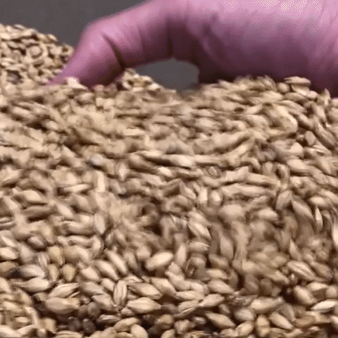Malt Mout GIF by OMER. Traditional Blond