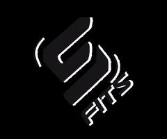 Sfidnfits GIF
