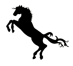 Horse Sash Sticker by S.A.S.H Sydney