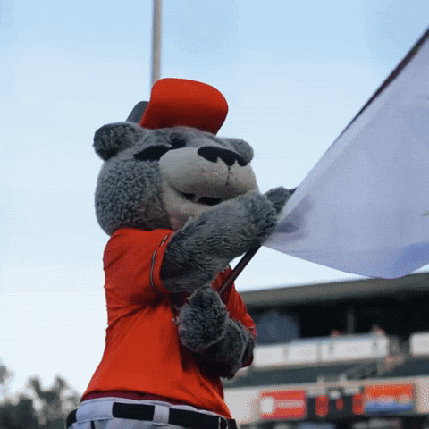 Baseball Flag GIF by Sacramento River Cats