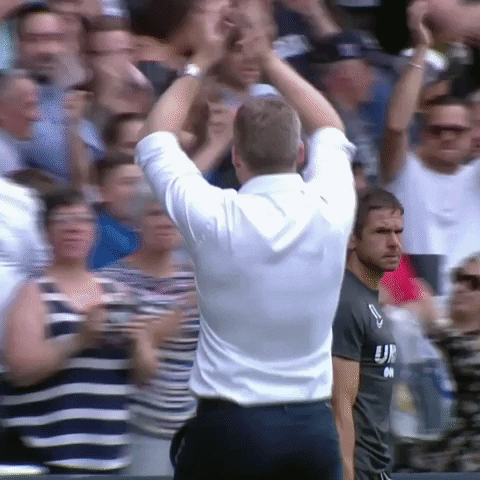OfficialMillwallFC win clap clapping fans GIF