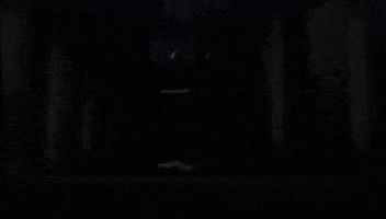 Shadow GIF