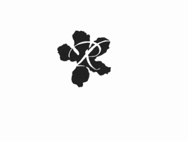 RiponChamberofCommerce GIF