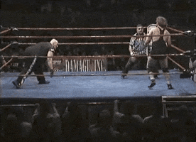Wrestling Chair GIF by The Human Tackboard