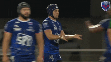 GIF by FCG Rugby