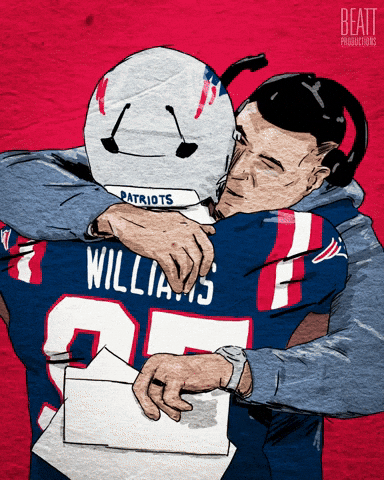 New England Patriots Football GIF