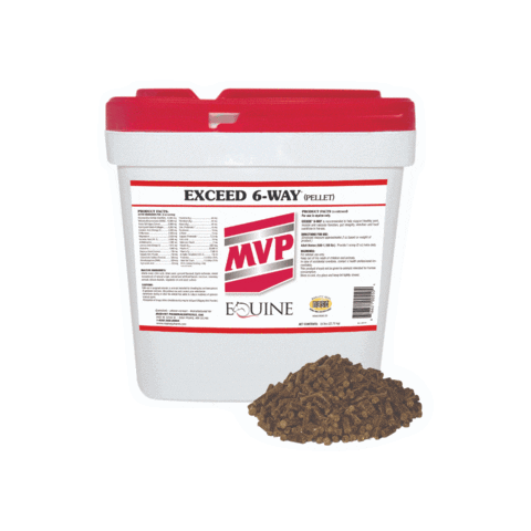 MVP Sticker