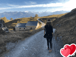 Beeheidi GIF