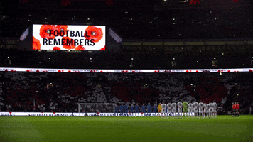 Wembley Stadium GIF by England
