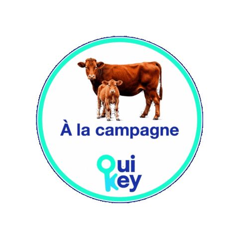 Summer Ski Sticker by Ouikey