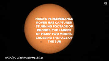 Solar Eclipse Space GIF by New Scientist