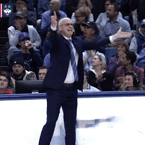 Lets Go Hype GIF by UConn Huskies