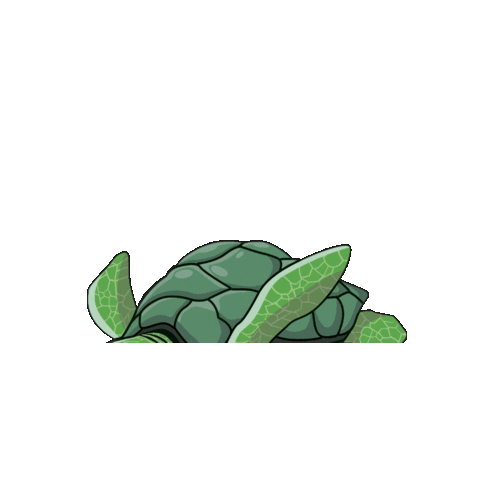 Salad Vision Sticker