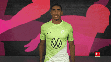 Vfl Wolfsburg Hello GIF by Bundesliga