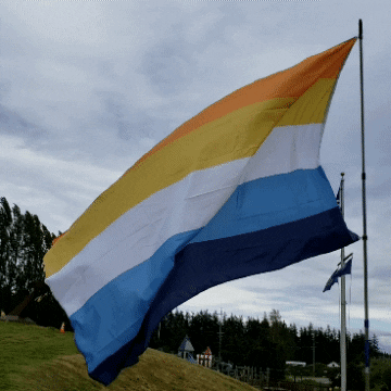 Pride Flag GIF by AceArchive