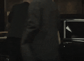 Fur GIF