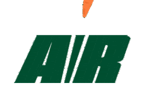 No Pain No Gain Academia Sticker by Air Performance