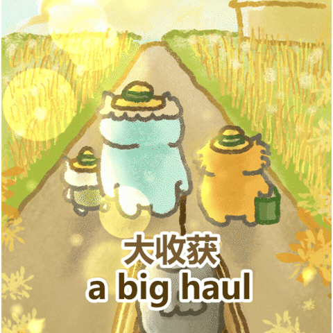 Big Fish Cat GIF