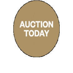 Auctiontoday Sticker by Fox Real Estate