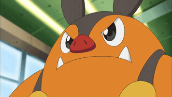 Pokemon Anime GIF