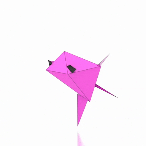 Brrd GIF