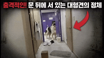 Bbem GIF